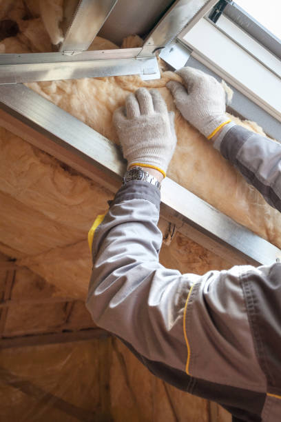 Best Insulation Installation Services in Taylor, AZ